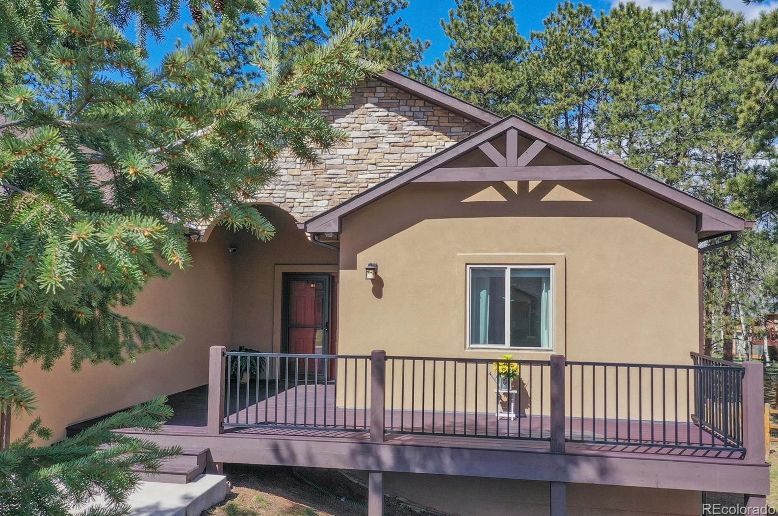 1174 Ptarmigan Dr, Woodland Park CO 80863-8005 exterior