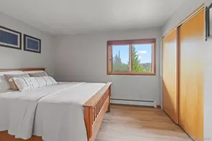91300 Ryan Gulch Rd, Silverthorne, CO 80498 - Photo 29