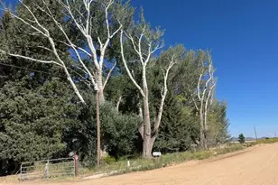 10495 County Rd 11, San Luis, CO 81152 - Photo 17