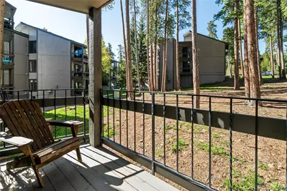 1173 Ski Hill Road #123, Breckenridge, CO 80424 - Photo 3