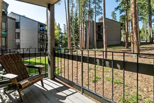 1173 Ski Hill Rd, Breckenridge, CO 80424 - Photo 3