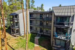1173 Ski Hill Rd, Breckenridge, CO 80424 - Photo 17