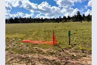 5962 Cherokee Trail, Hartsel, CO 80449 - Photo 3