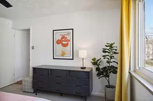 1063 N Clarkson St, Denver, CO 80218 - Photo 13