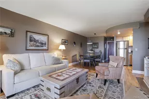 1313 N Williams St, Denver, CO 80218 - Photo 3