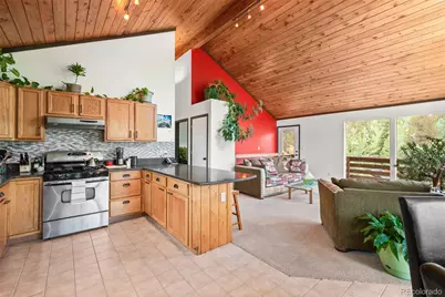 1682 Clark Road, Bailey, CO 80421 - Photo 3