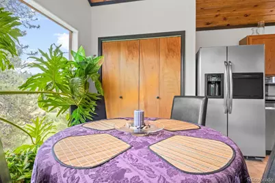 1682 Clark Road, Bailey, CO 80421 - Photo 25