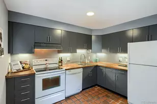 960 N Sherman Street, Denver, CO 80203 - Photo 13