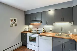 960 N Sherman Street, Denver, CO 80203 - Photo 15