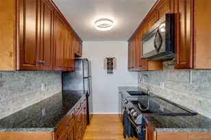 1270 N Marion St, Denver, CO 80218 - Photo 41