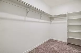 2305 Rosette Ln, Castle Rock, CO 80104 - Photo 25