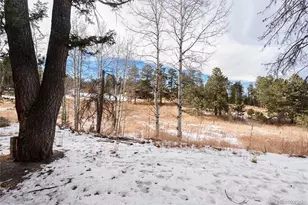 10783 Fox Trot Ln, Conifer, CO 80433 - Photo 11
