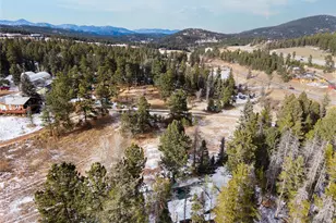 10783 Fox Trot Ln, Conifer, CO 80433 - Photo 3