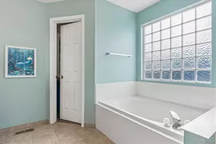 1402 Mulberry Ln, Highlands Ranch, CO 80129 - Photo 29