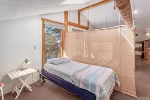 1689 Columbine, Crestone, CO 81131 - Photo 29