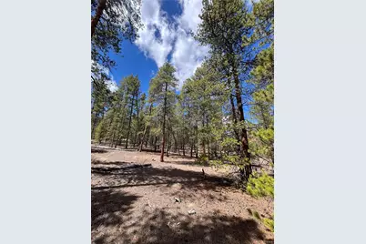 1013 Sequoia Drive, Twin Lakes, CO 81251 - Photo 33