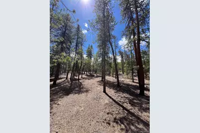 1013 Sequoia Drive, Twin Lakes, CO 81251 - Photo 35