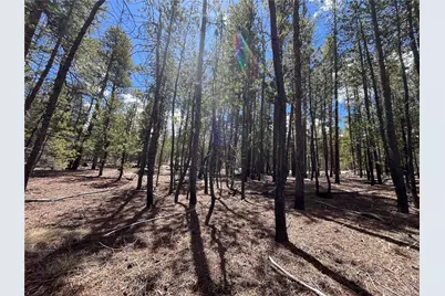 1013 Sequoia Drive, Twin Lakes, CO 81251 - Photo 27
