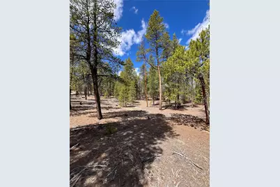 1013 Sequoia Drive, Twin Lakes, CO 81251 - Photo 41