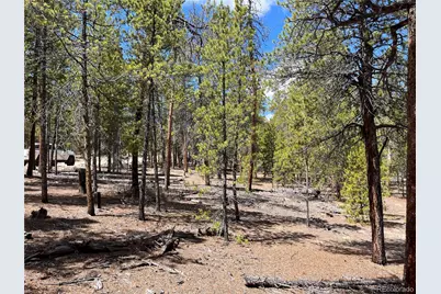 1013 Sequoia Drive, Twin Lakes, CO 81251 - Photo 21
