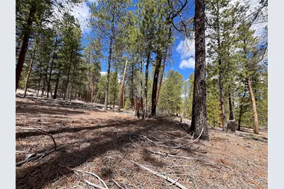1013 Sequoia Drive, Twin Lakes, CO 81251 - Photo 1