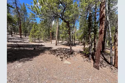 1013 Sequoia Drive, Twin Lakes, CO 81251 - Photo 47