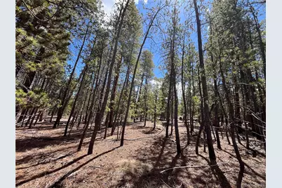 1013 Sequoia Drive, Twin Lakes, CO 81251 - Photo 25
