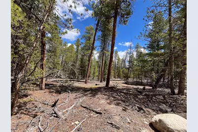 1013 Sequoia Drive, Twin Lakes, CO 81251 - Photo 45
