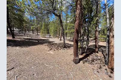 1013 Sequoia Drive, Twin Lakes, CO 81251 - Photo 17
