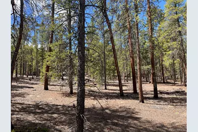 1013 Sequoia Drive, Twin Lakes, CO 81251 - Photo 13