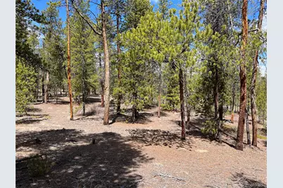 1013 Sequoia Drive, Twin Lakes, CO 81251 - Photo 19