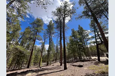 1013 Sequoia Drive, Twin Lakes, CO 81251 - Photo 23