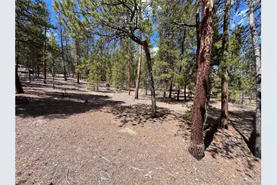 1013 Sequoia Drive, Twin Lakes, CO 81251 - Photo 39