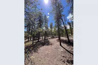 1013 Sequoia Drive, Twin Lakes, CO 81251 - Photo 11