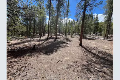 1013 Sequoia Drive, Twin Lakes, CO 81251 - Photo 9
