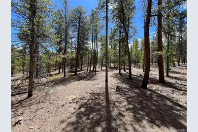 1013 Sequoia Drive, Twin Lakes, CO 81251 - Photo 31