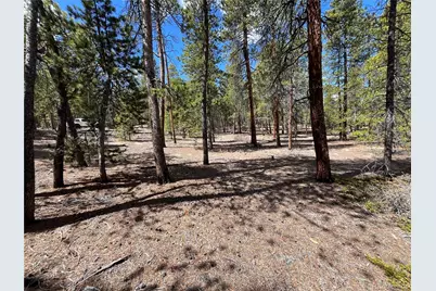 1013 Sequoia Drive, Twin Lakes, CO 81251 - Photo 37