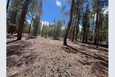 1013 Sequoia Drive, Twin Lakes, CO 81251 - Photo 29