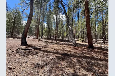 1013 Sequoia Drive, Twin Lakes, CO 81251 - Photo 7