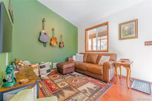182 Rachael's Pl, Alma, CO 80420 - Photo 5