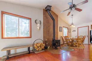 182 Rachael's Pl, Alma, CO 80420 - Photo 7