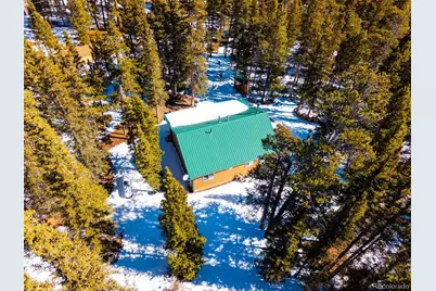 182 Rachaels Place, Alma, CO 80420 - Photo 3