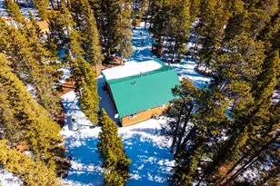 182 Rachael's Pl, Alma, CO 80420 - Photo 3