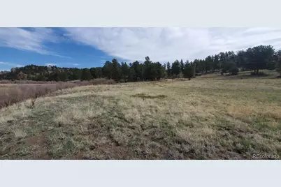 466 Spring Valley Drive, Florissant, CO 80816 - Photo 17