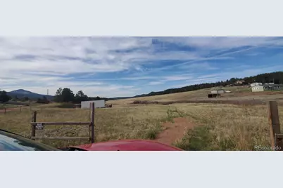 466 Spring Valley Drive, Florissant, CO 80816 - Photo 3