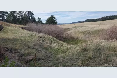 466 Spring Valley Drive, Florissant, CO 80816 - Photo 5