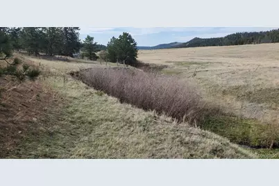 466 Spring Valley Drive, Florissant, CO 80816 - Photo 15