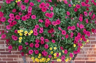 200 E 6th St, Flagler, CO 80815 - Photo 35