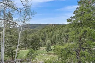 787 W Meadow Rd, Evergreen, CO 80439 - Photo 41