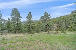 787 W Meadow Rd, Evergreen, CO 80439 - Photo 47